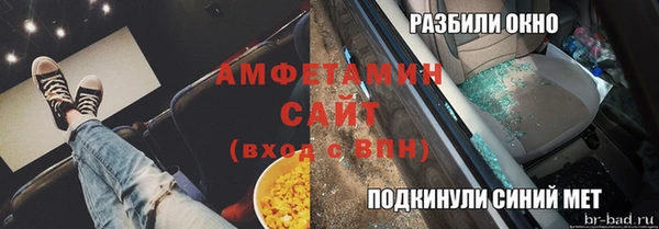 молекула духа Бронницы