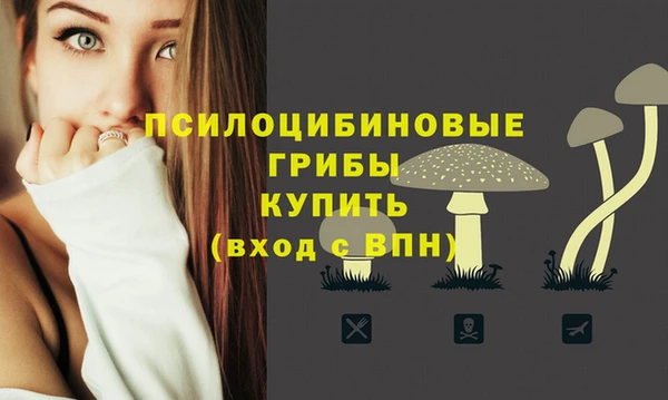 не бодяженный Бородино