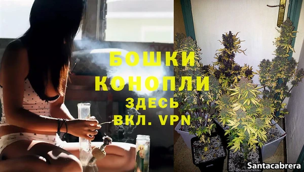 спайс Богородск