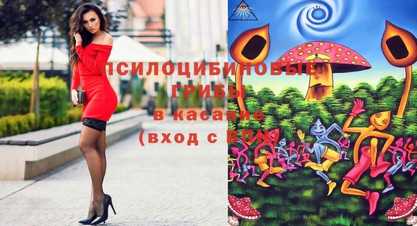 спайс Богородск