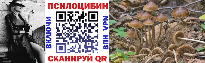 shop телеграм  Киржач  Псилоцибиновые грибы MAGIC MUSHROOMS 