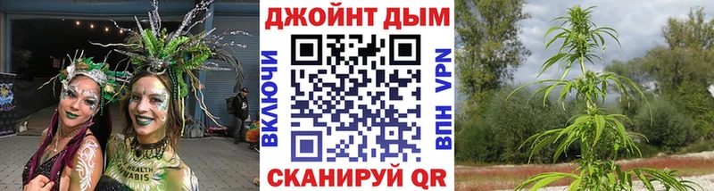 Каннабис сатива Киржач